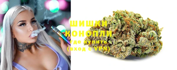 прущие грибы Волосово